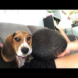 Meet your Posher, Todd